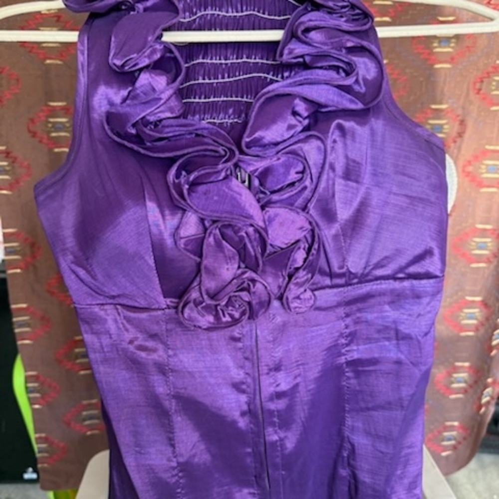 Moen Satin Plum Ruffle Blouse